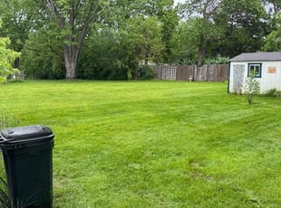 Randy L.'s lawn care services service result