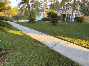 Steven J.'s turf care service result