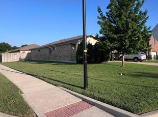 Alexis E.'s lawn maintenance service result