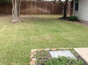 Nate H.'s turf care service result