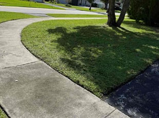 Adam O.'s lawn care services service result