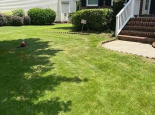 Hye M.'s turf care service result