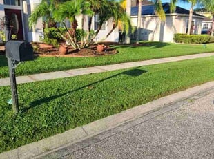 Nick P.'s lawn care service result