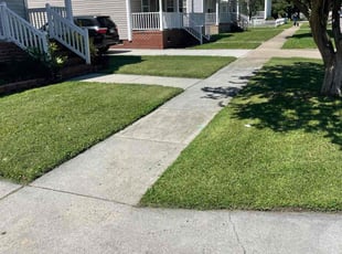 Lori K.'s turf maintenance service result