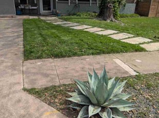 Kimberly C.'s lawn care services service result