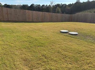 Aung A.'s lawn care services service result