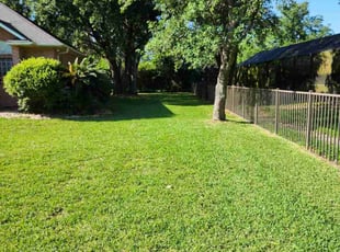 Mo R.'s lawn care service result