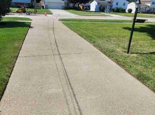 Jackie B.'s grass maintenance service result