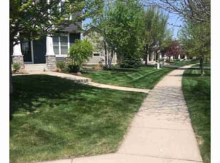 Mauro R.'s lawn maintenance service result