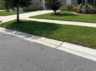 Anne L.'s lawn care service result