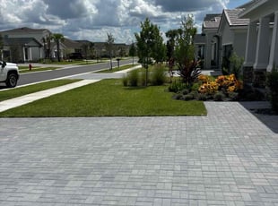 Jack W.'s lawn maintenance service result