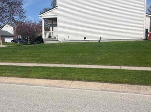 Shomari F.'s lawn care service result