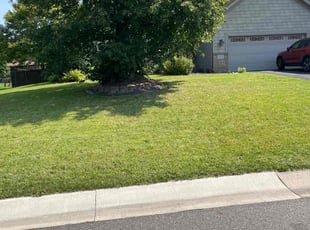 Bill L.'s lawn service service result