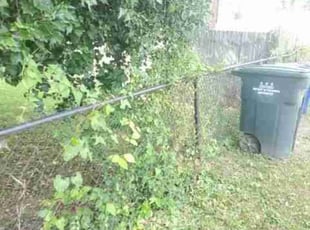 Austin E.'s Bush Trimming service result