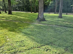 Mariana S.'s turf care service result