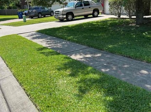 Michael P.'s turf maintenance service result