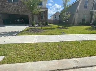 Aaron H.'s grass cutting service result