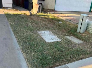 Les E.'s turf maintenance service result