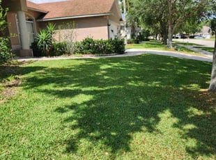 Jd F.'s lawn care services service result