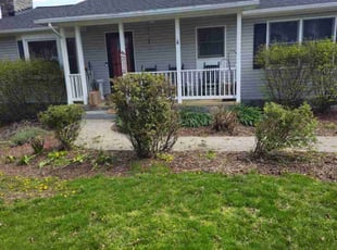 Caenina M.'s Bush Trimming service result