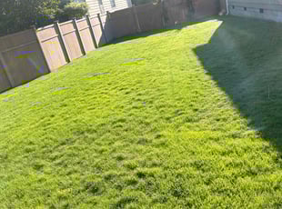 Angela A.'s lawn care service result