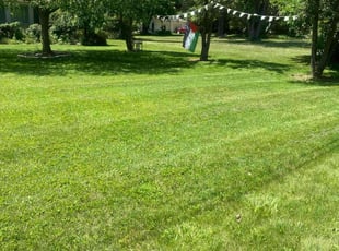 Carolina A.'s turf maintenance service result