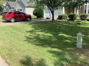 Troy D.'s lawn care service result