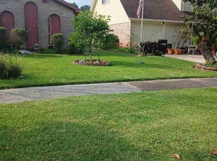 Rashon J.'s lawn care services service result