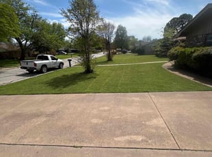 Walter N.'s turf maintenance service result