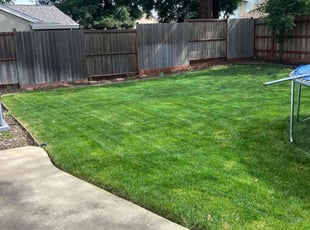 Rita B.'s grass cutting service result
