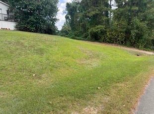 Skyler B.'s turf maintenance service result