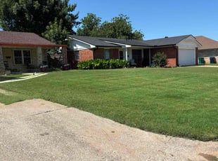 Nick K.'s grass cutting service result