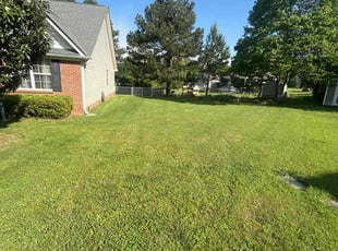 Tiffany S.'s grass maintenance service result