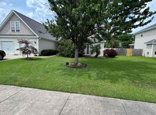 Josh M.'s lawn service service result