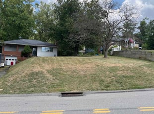 Aisha W.'s turf care service result