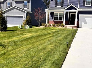 Suzy B.'s turf care service result