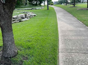 Redith F.'s lawn service service result