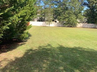 Daniel S.'s lawn care services service result