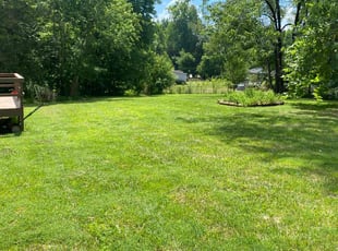 Xavier M.'s lawn care service result