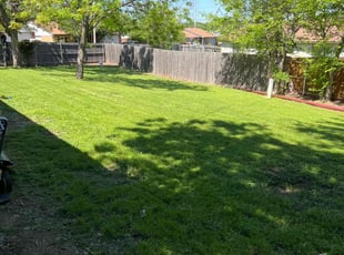 Renda M.'s lawn service service result