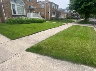Jennifer N.'s lawn care services service result