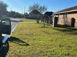 Cindy B.'s turf care service result