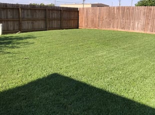 Moriah P.'s lawn maintenance service result