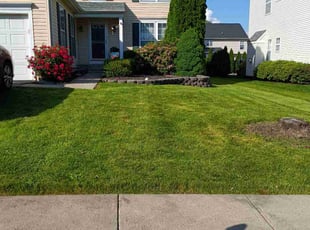 Youn J.'s turf maintenance service result