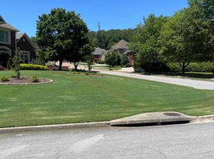 Jason P.'s lawn service service result
