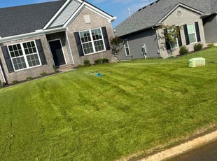 Selam Y.'s grass cutting service result