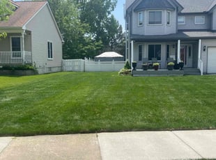 Dave P.'s lawn maintenance service result