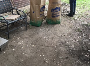 Frank D.'s Bush Trimming service result