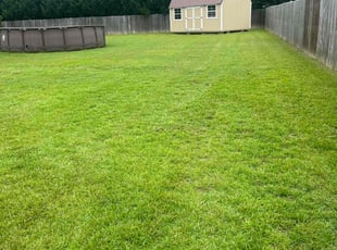 Ravikanth V.'s grass maintenance service result