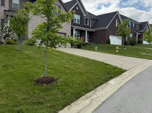 Gwen T.'s grass cutting service result
